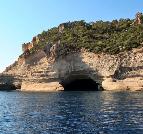 From the Shores of the Mediterranean to the World Stage